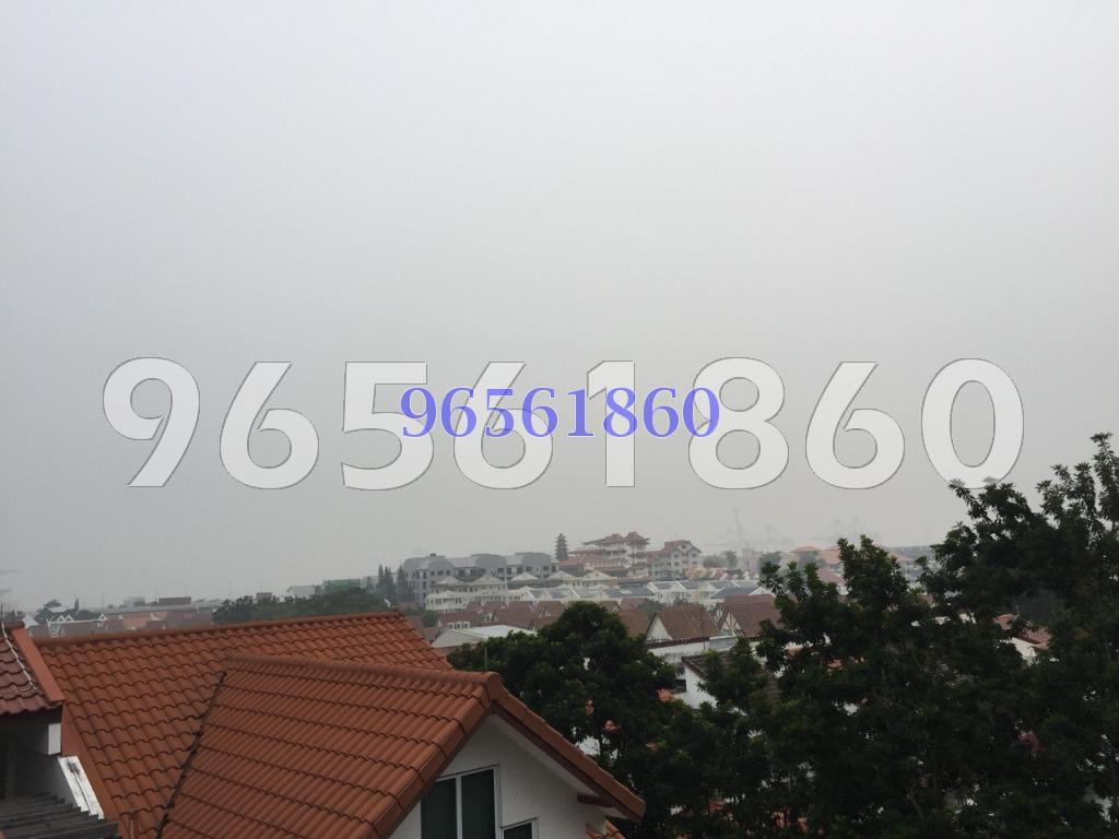 Springwood (D5), Terrace #85162172